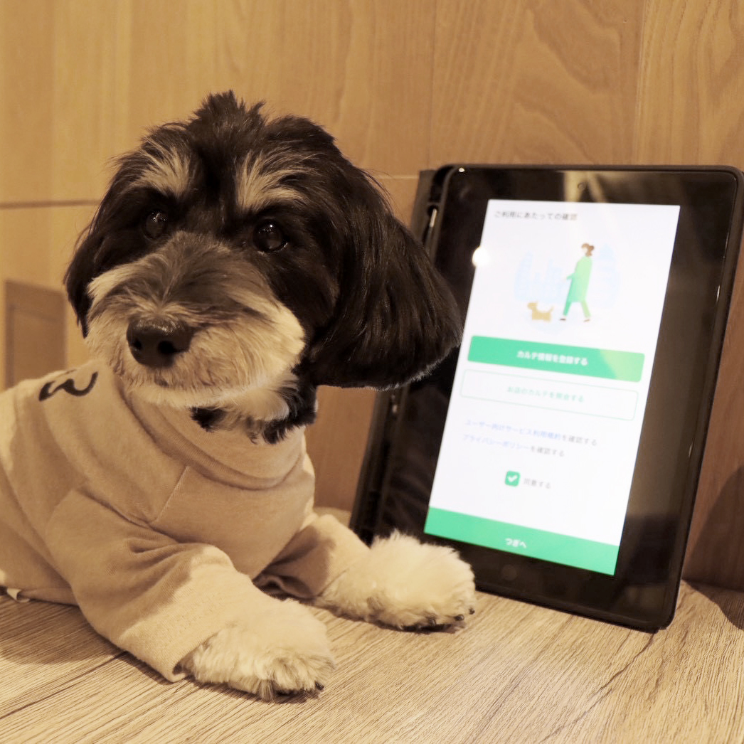 スマホからLINE予約