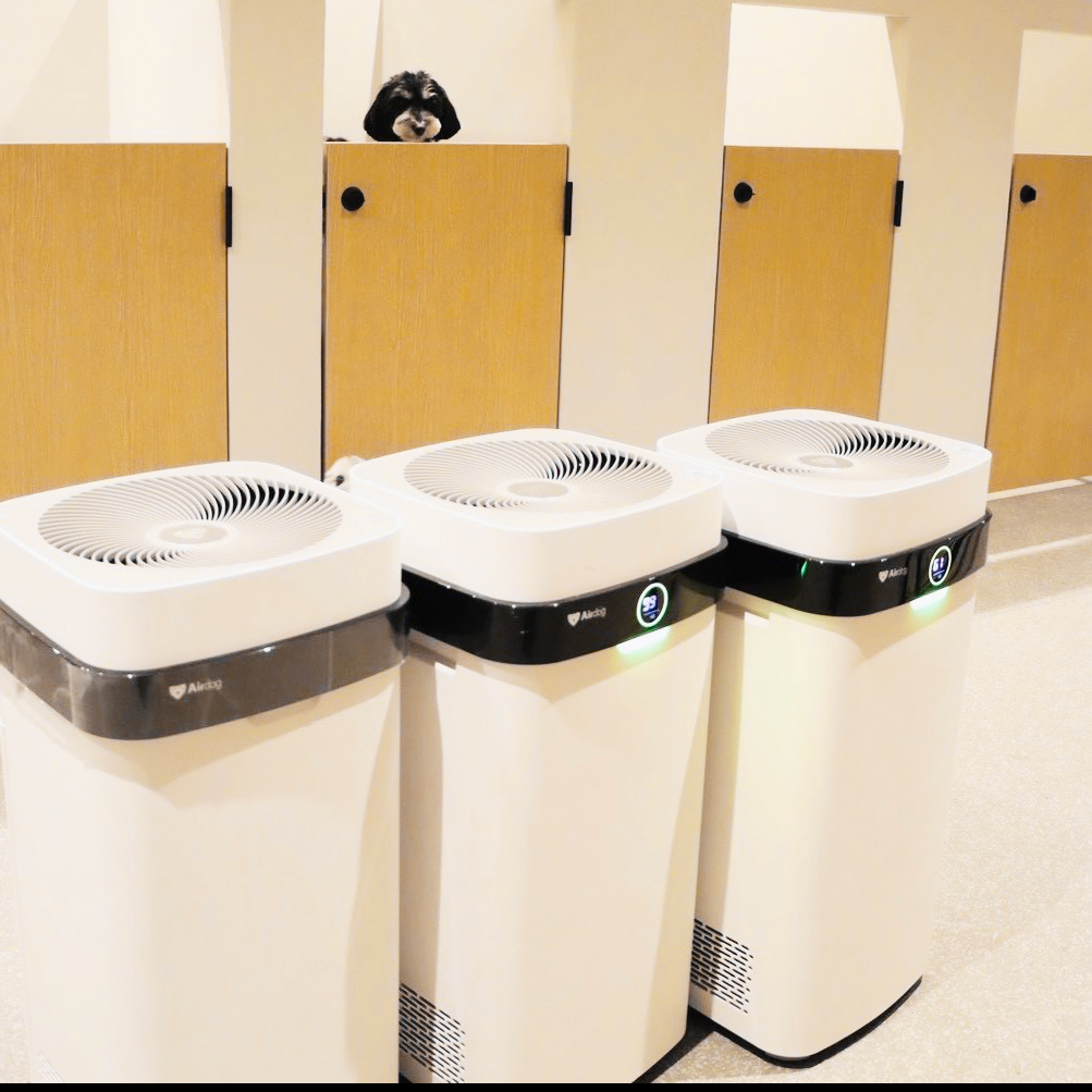 添い寝で安心して眠る様子