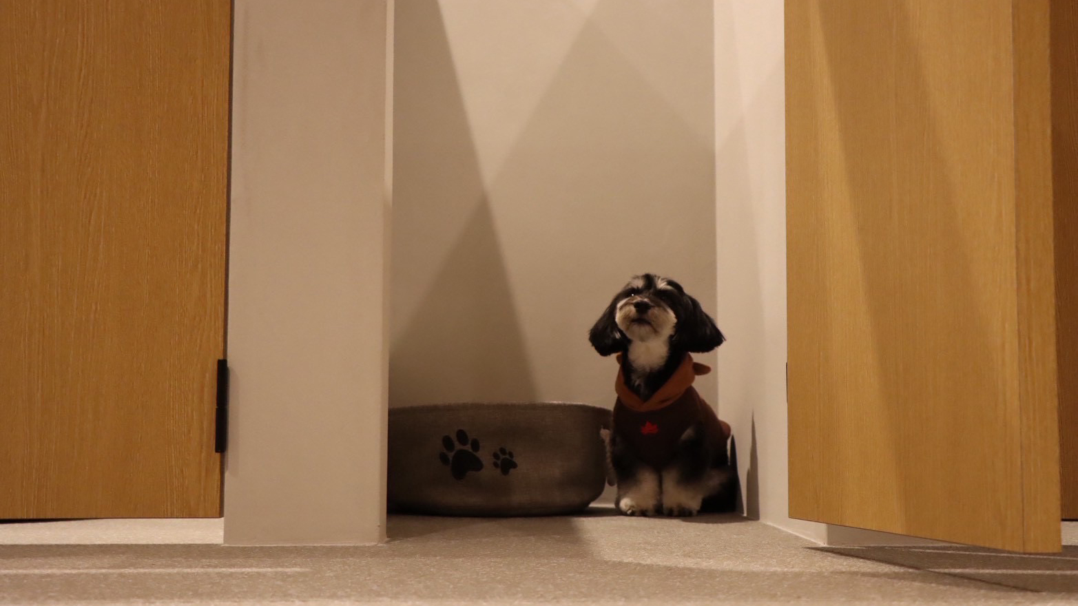 セミオープンルームの様子2